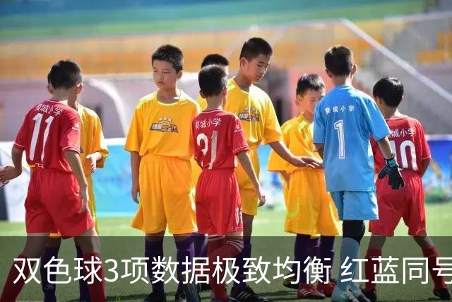 双色球3项数据极致均衡 红蓝同号或成制胜法宝